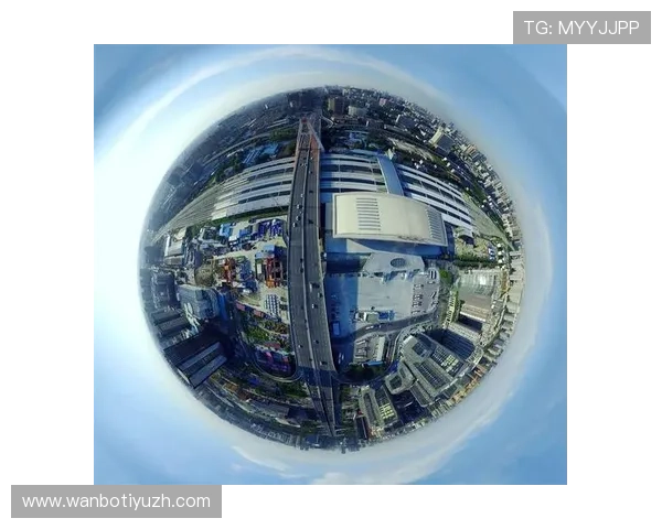 乐鱼官网合作伙伴名单公布，携手多家知名品牌共创娱乐新未来