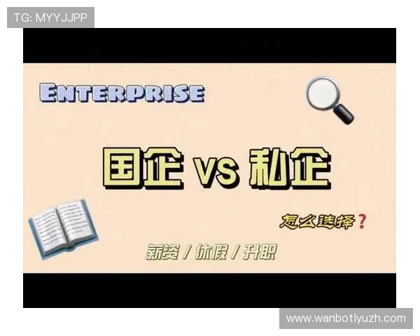 万博集团的企业类型：国企身份的特点与私企的运营模式