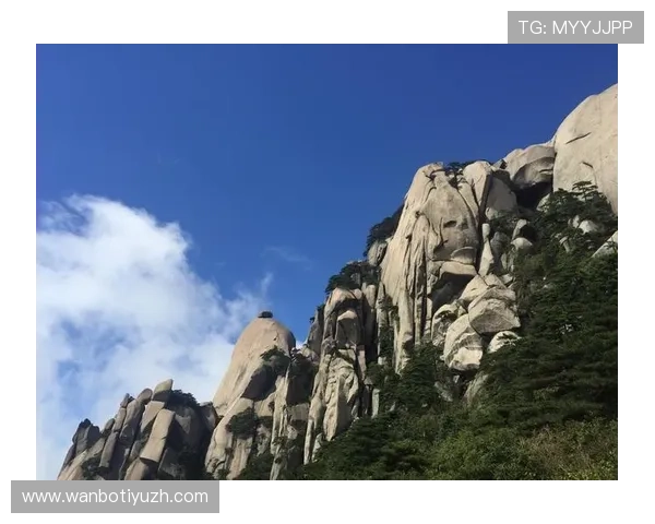 manbetx万博亚洲的用户评价与常见问题解答汇总